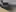 2026 Honda Passport
